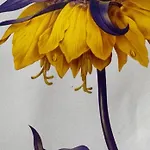 Berlinapartments-downtown דירה ברלין