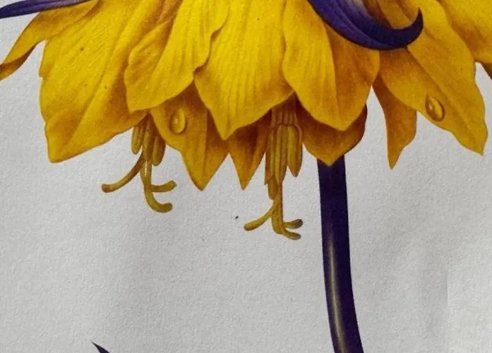 Berlinapartments-downtown Lejlighed Berlin